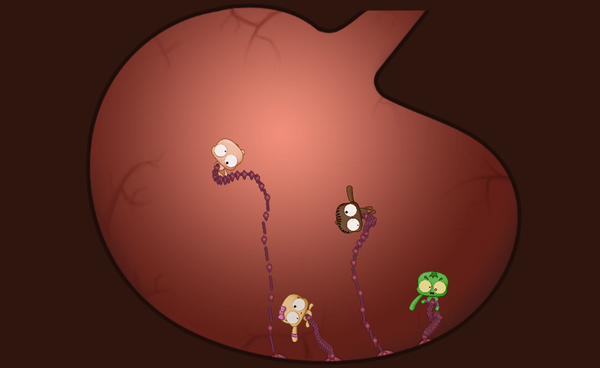 Hack Blog Pic4